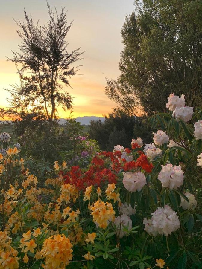 2 Views At Tasman Bed and Breakfast Buitenkant foto